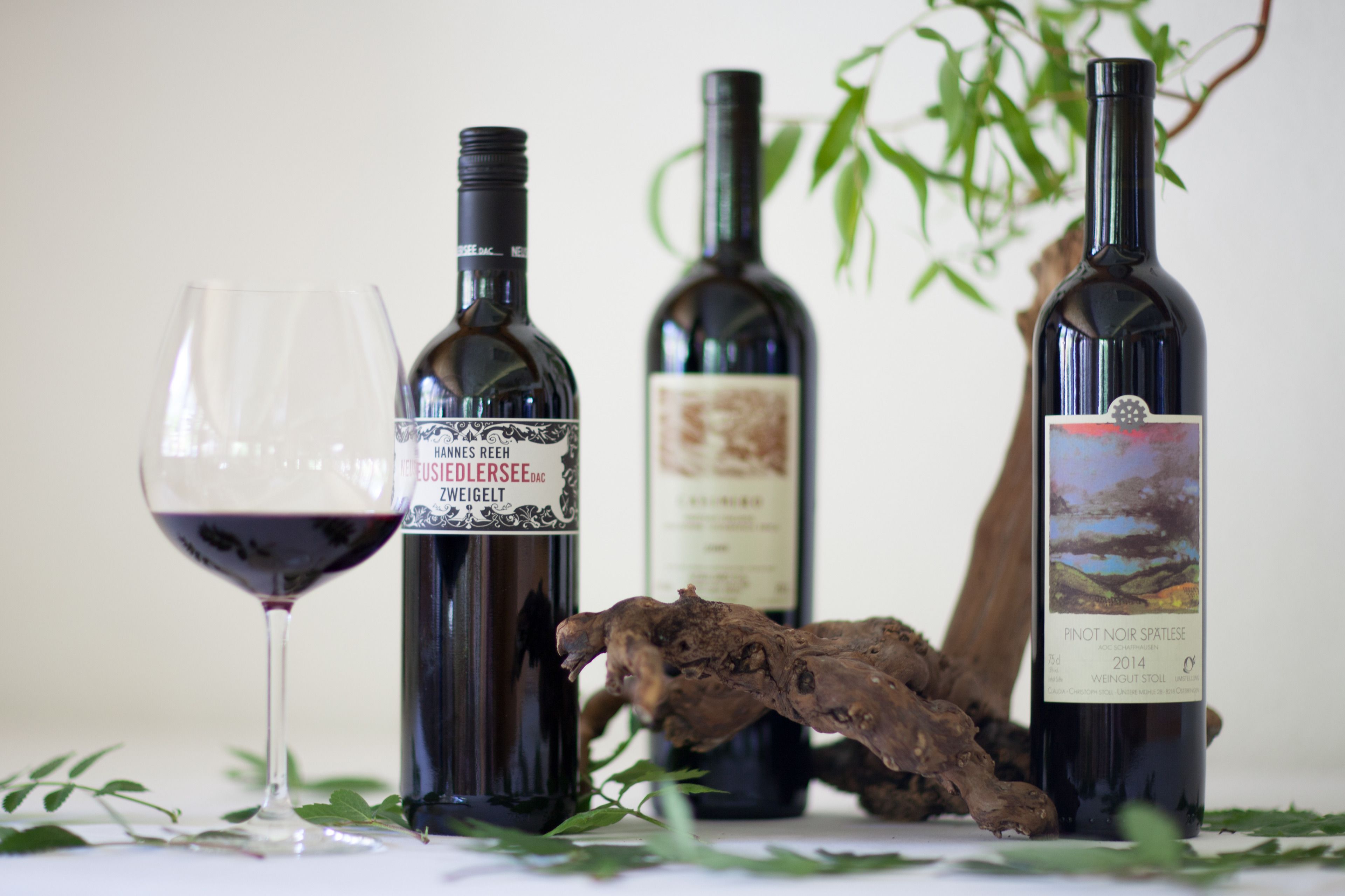 Three wine bottles and a wine glass on a table with a plant and some greenery.