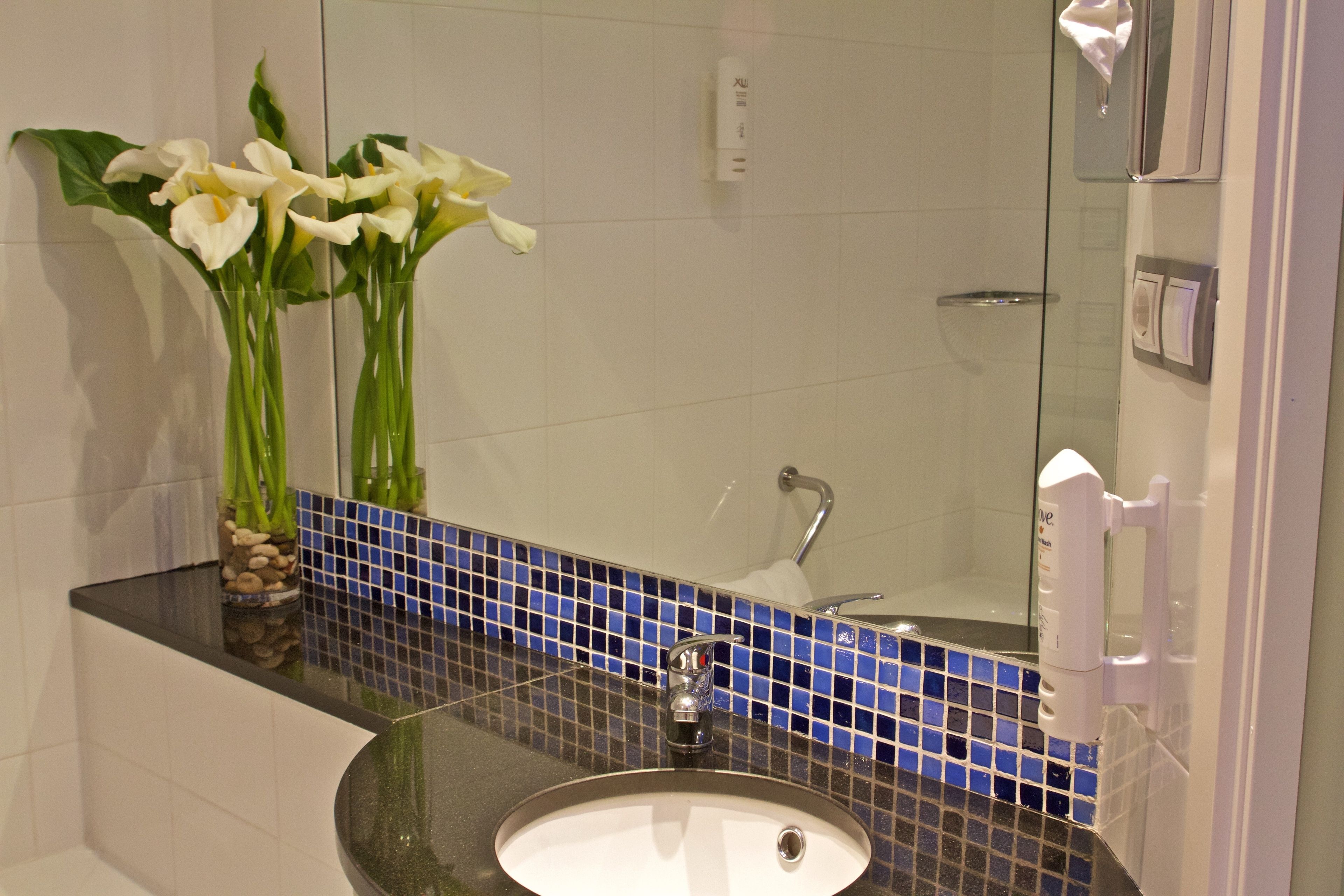 combined shower/bathtub, free toiletries, hair dryer, bidet
