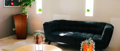Una sala de estar moderna con un sofá negro, dos mesas redondas y plantas en macetas.