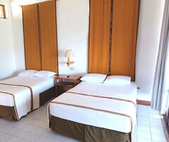 Habitación individual estándar | Wifi gratis