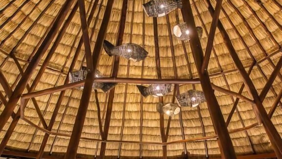 Hotel Maya Internacional