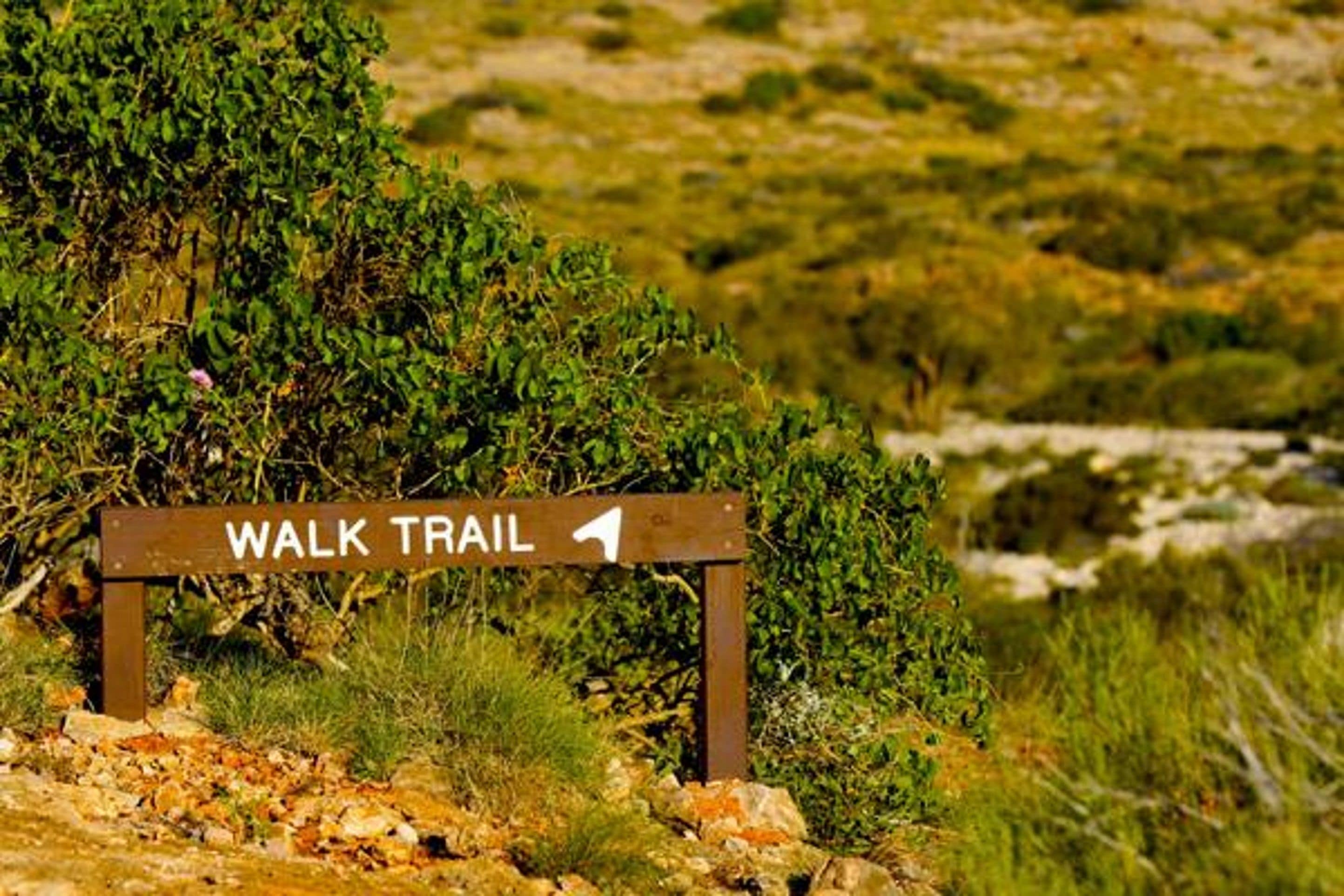 A wooden sign with the text "WALK TRAIL" and an arrow pointing to the right.