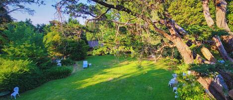 A lush garden with a lawn, a large tree, and outdoor furniture.