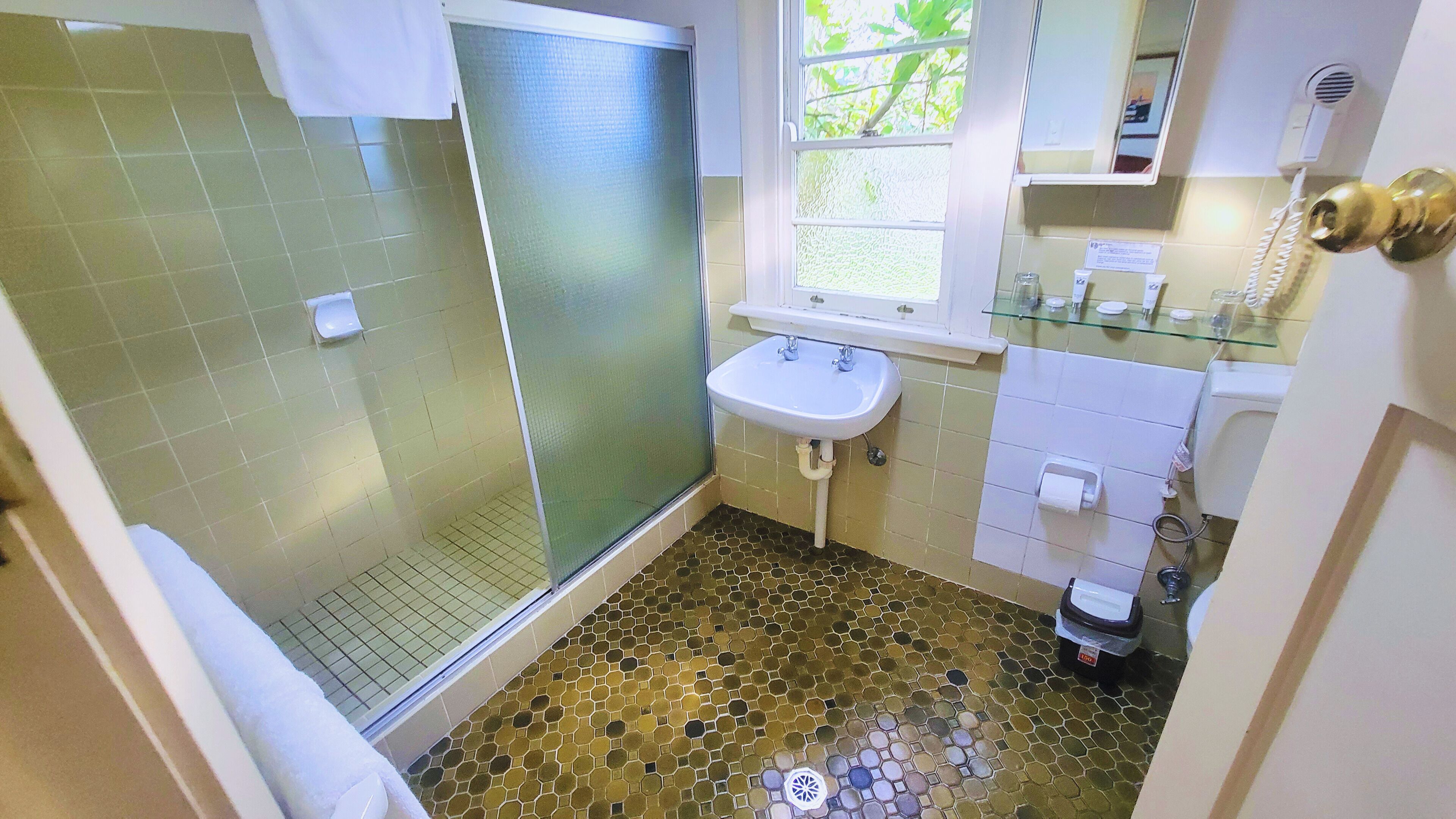 A bathroom with a shower, a sink, and a window.