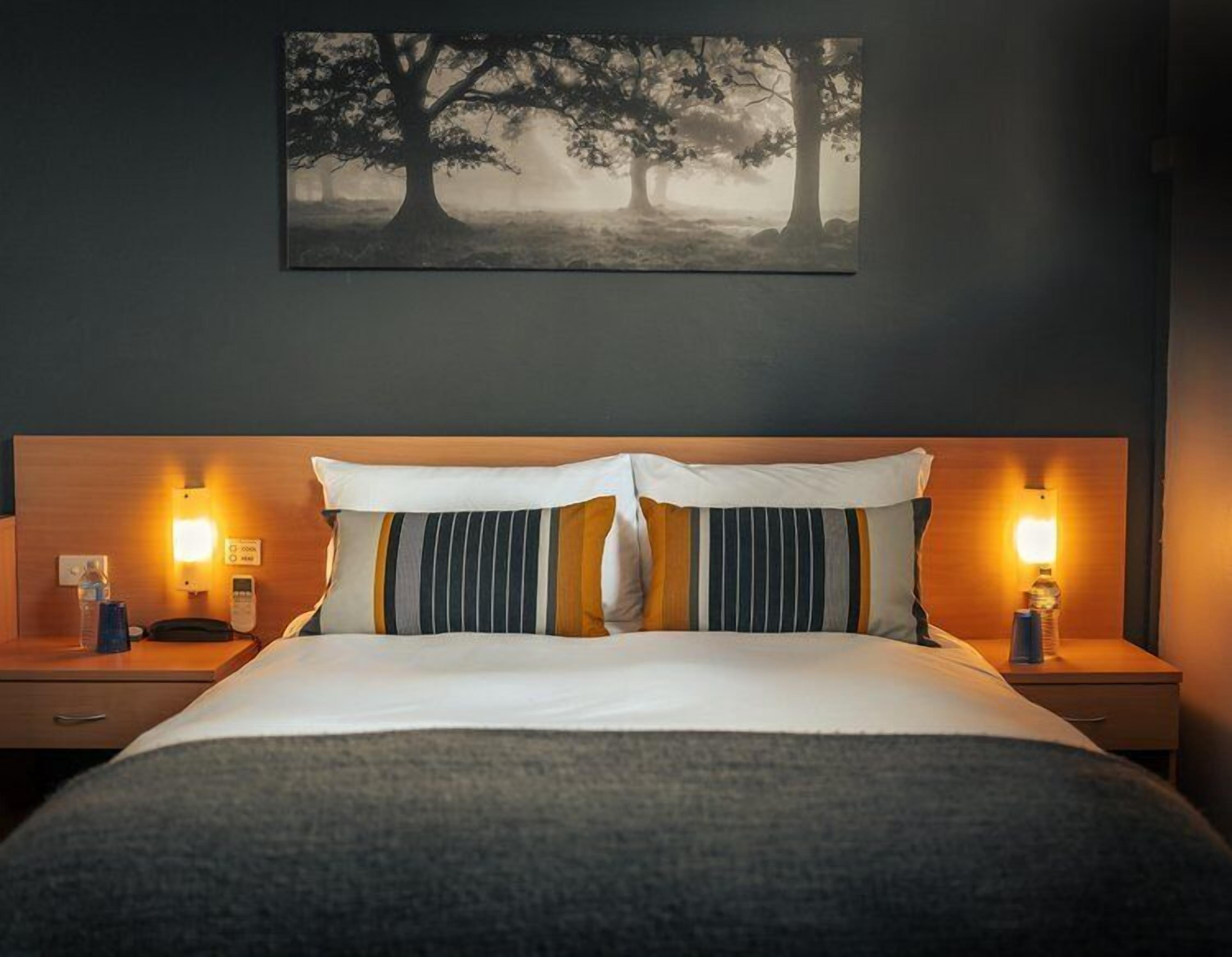 Une chambre d’hôtel avec un grand lit, deux tables de chevet avec des lampes, une œuvre d’art représentant des arbres accrochée au mur et une tête de lit de couleur sombre.