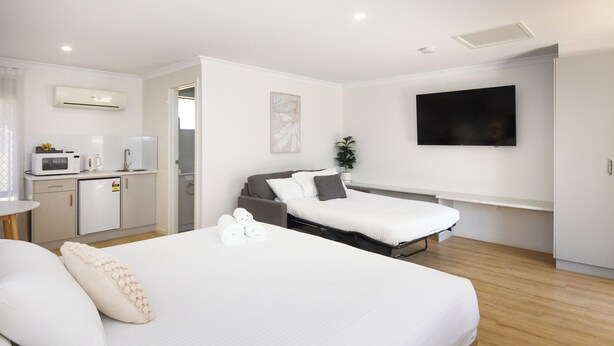 A modern hotel room with a bed, a small kitchenette, a flat-screen TV, and a potted plant. - Greenacres Motel (Corowa)