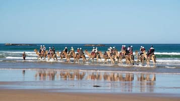 En gruppe mennesker rider på kameler langs en strand.