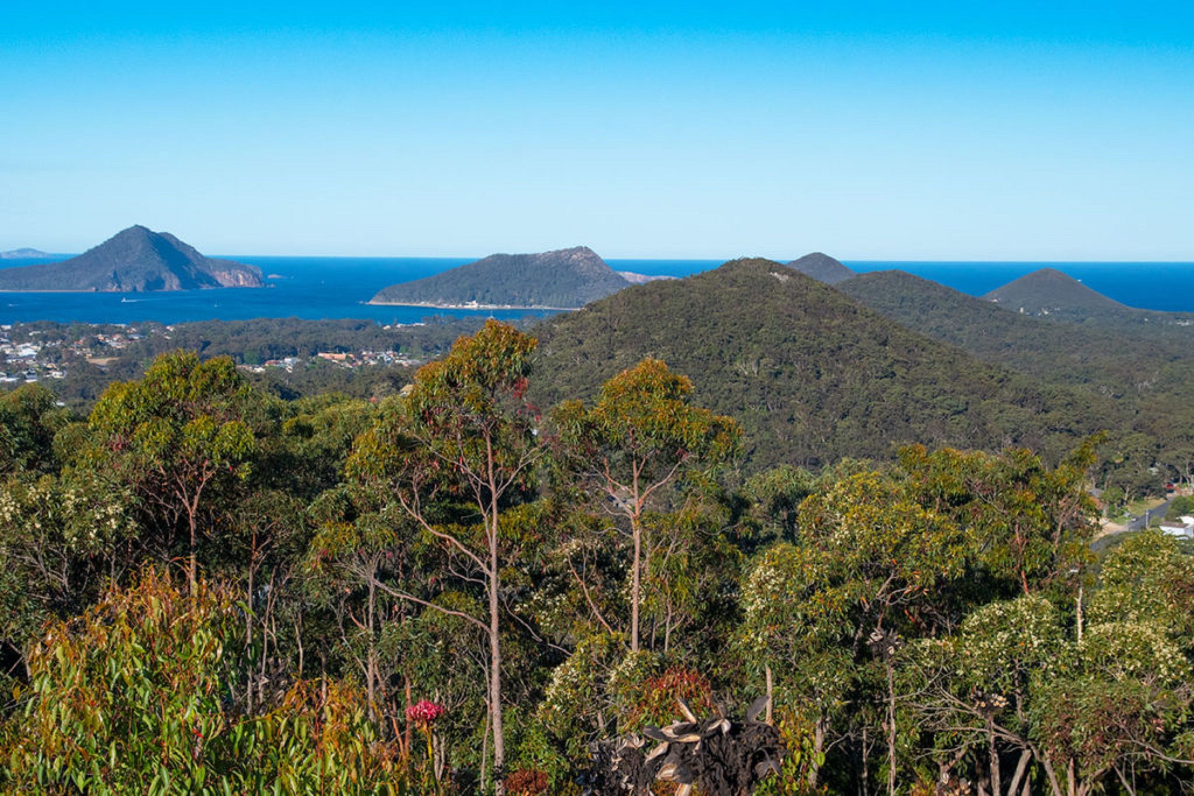 A mountainous landscape with dense forest and a view of the ocean.