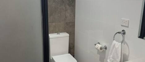 A bathroom with a toilet, a sink, and a window.