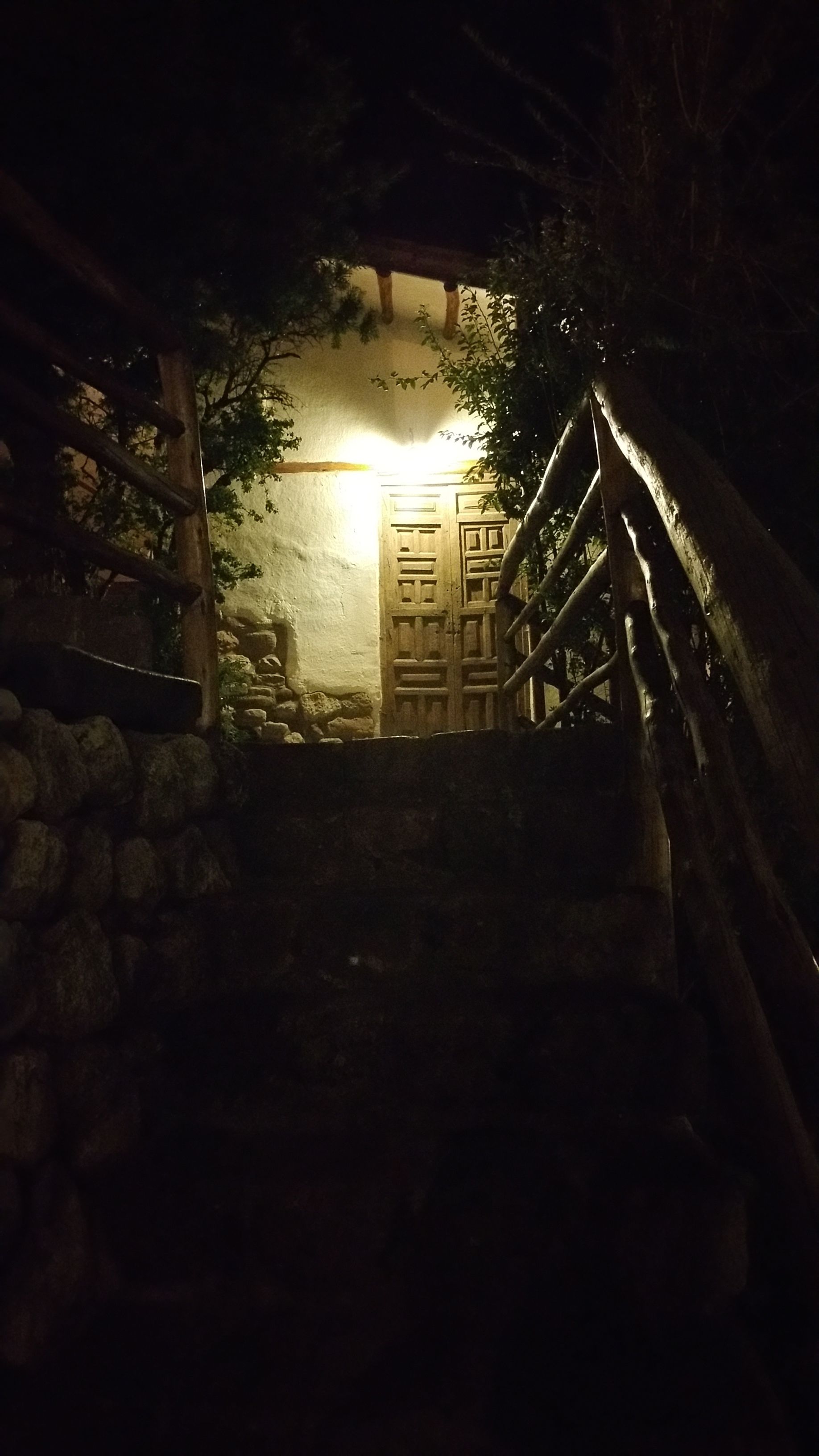 A stone staircase leading to a wooden door with a traditional design, surrounded by trees and a stone wall.