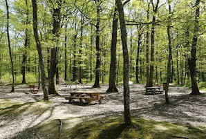 Un camping arbolado con mesas de picnic y bancos.