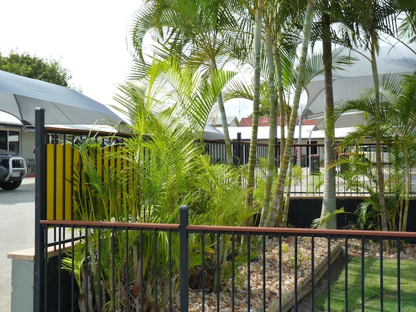 A fenced outdoor area with palm trees and a building in the background. - Caboolture Central Motor Inn (Caboolture)