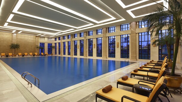 Una amplia piscina interior con numerosas tumbonas y una palmera.