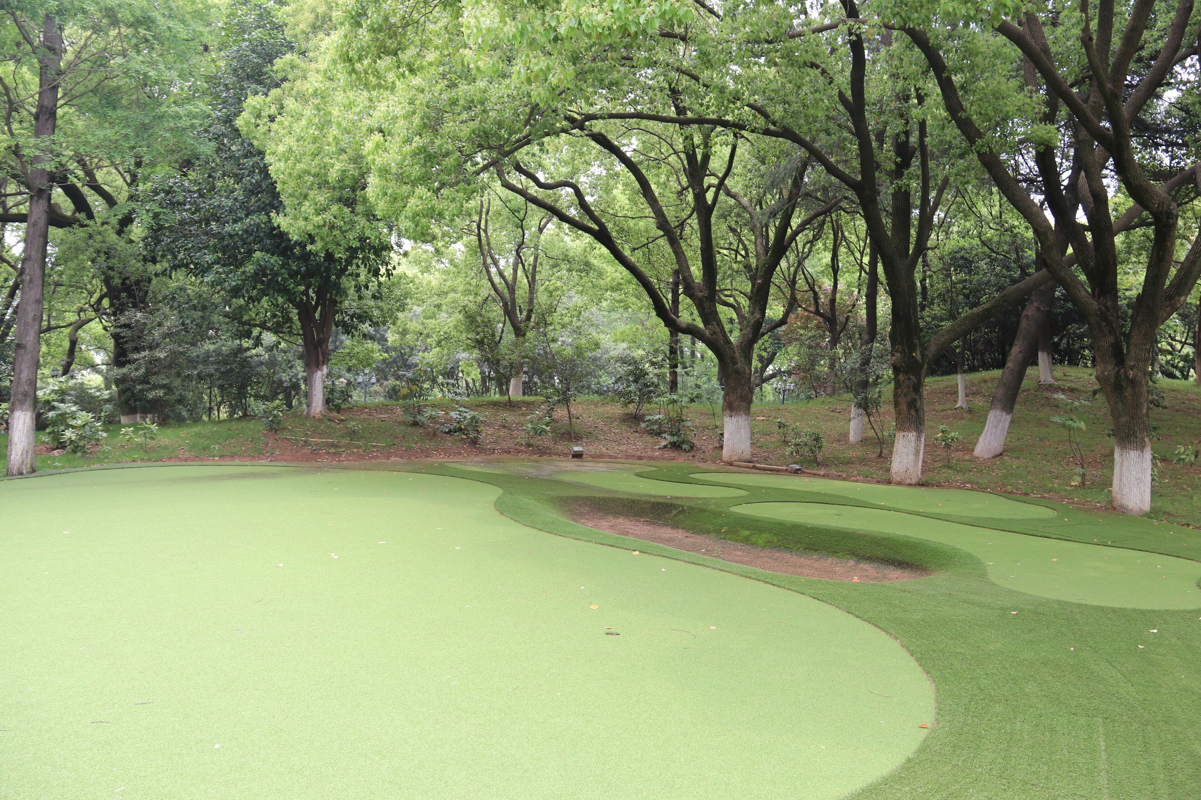 Un parcours de golf doté d’un gazon bien entretenu, d’arbres et d’un bunker de sable.