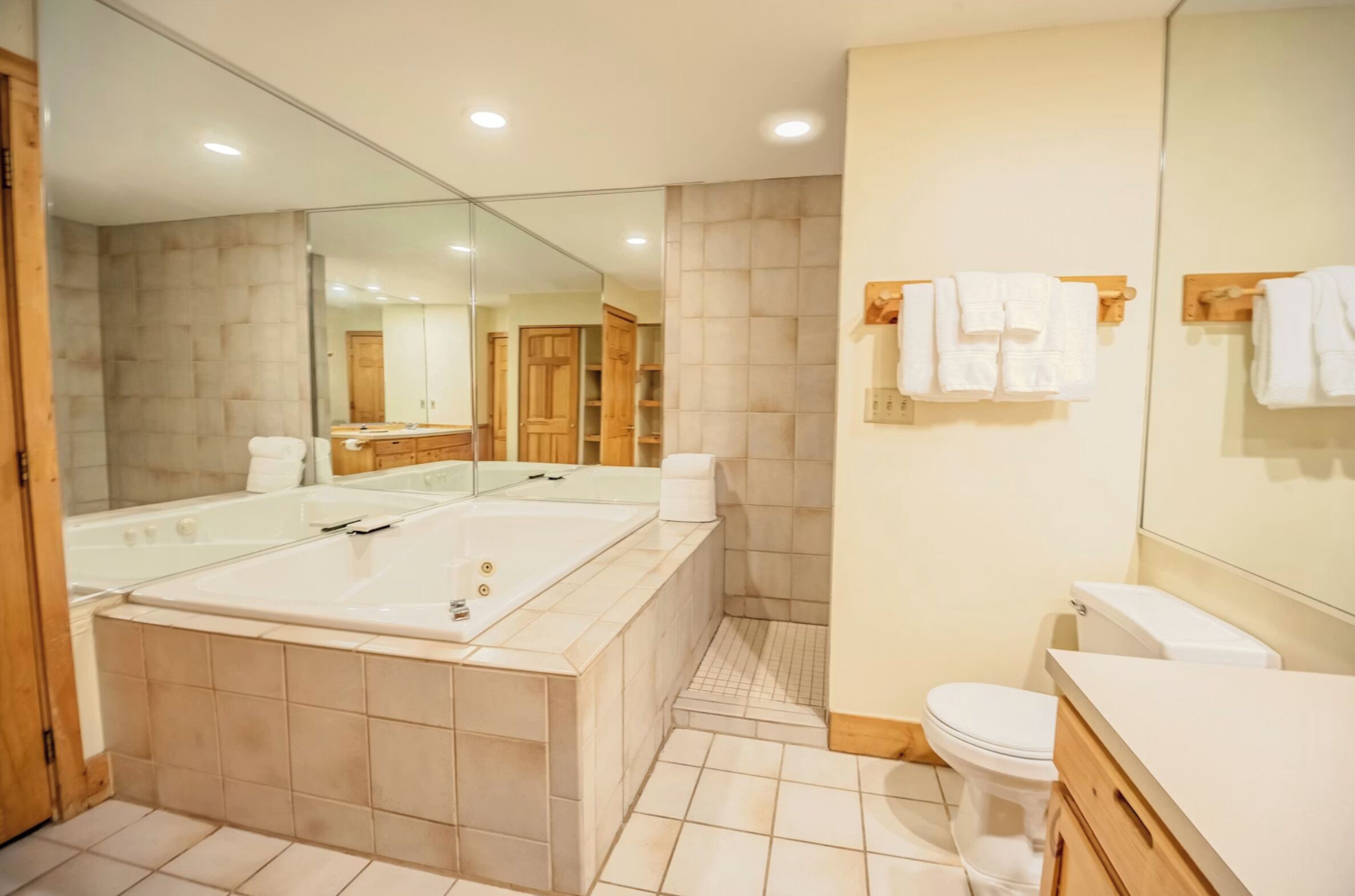 Un baño moderno con una bañera grande, un inodoro y un espejo.