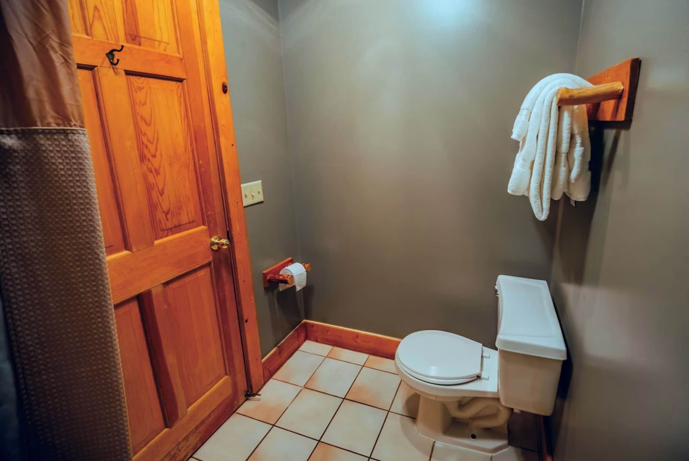A small bathroom with a wooden door, a toilet, a towel rack, and a shower curtain.