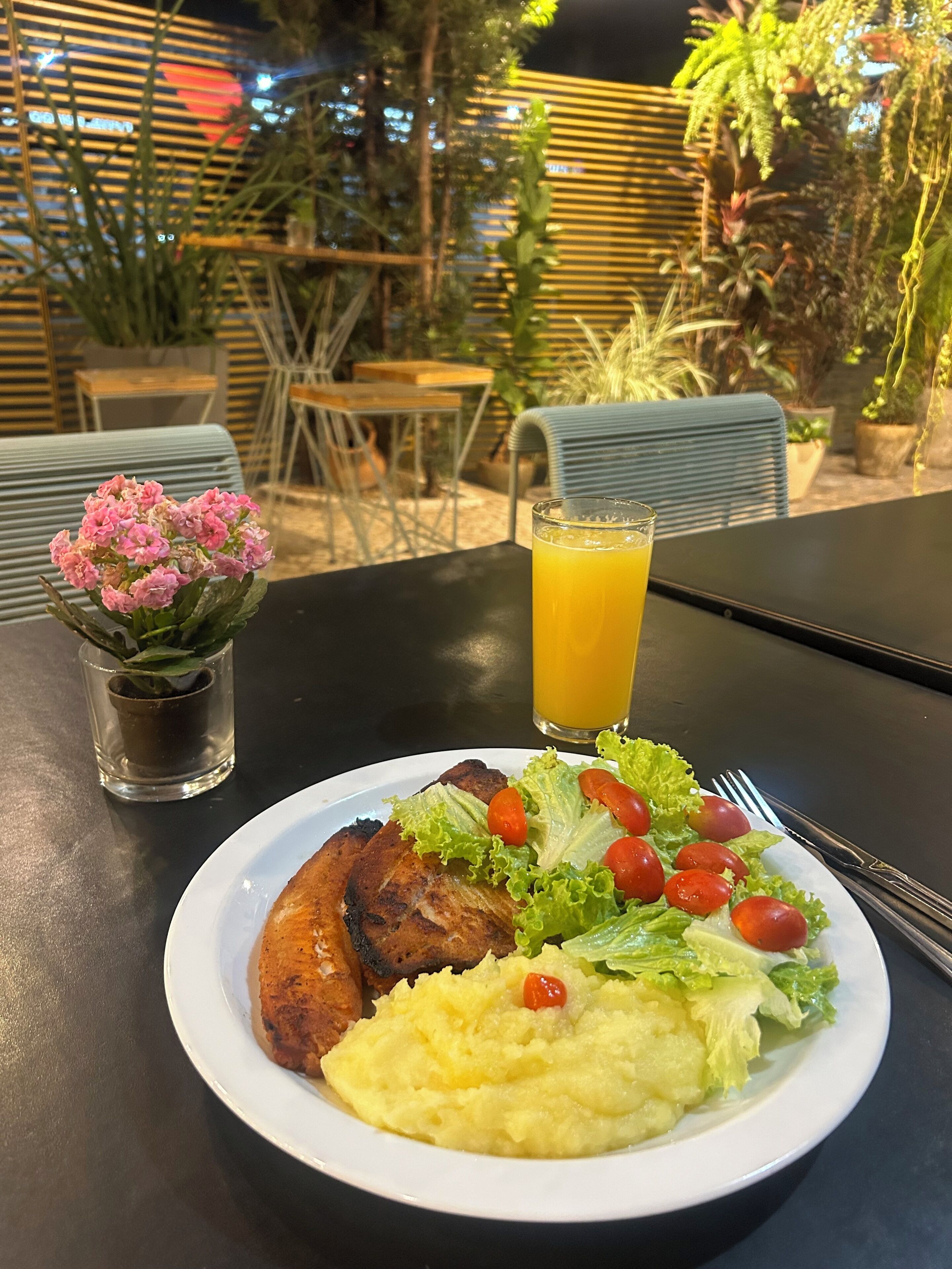 Comida con carne a la parrilla, puré de papas y ensalada sobre una mesa en un espacio exterior con sillas y plantas.