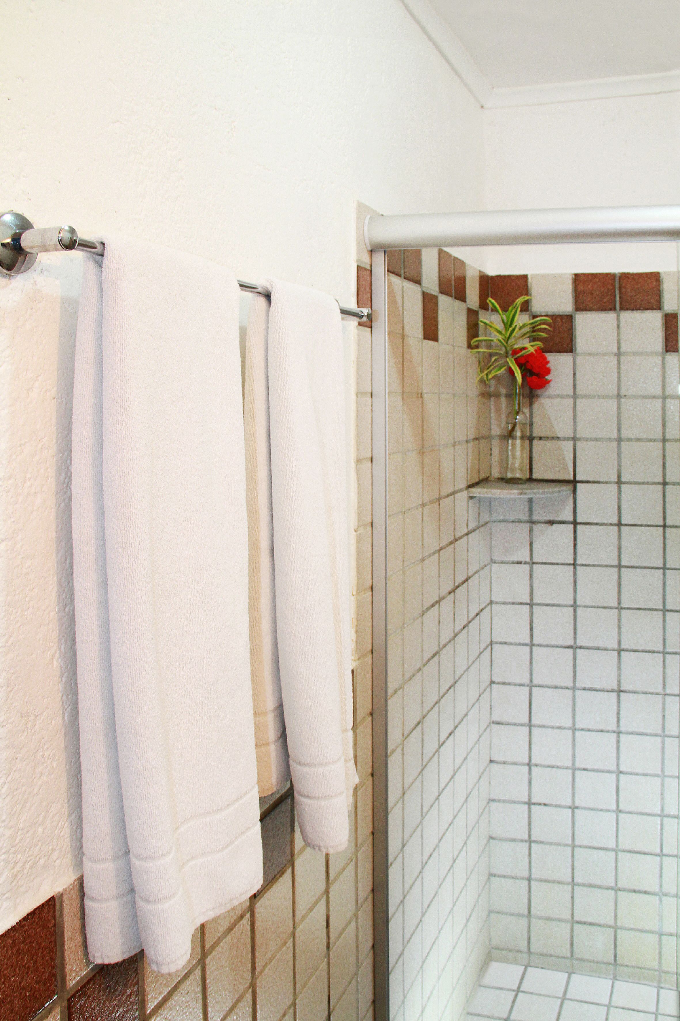 shower, hair dryer, towels, shampoo