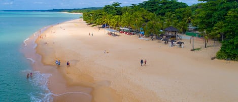 A beach with clear turquoise water, sandy shore, and palm trees.