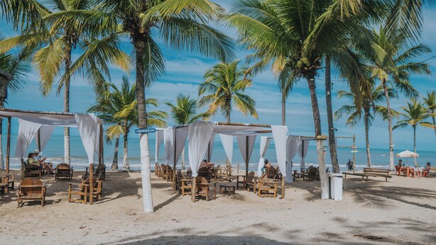 A beachside venue with wooden tables and chairs under white canopies, palm trees, and a clear view of the ocean.