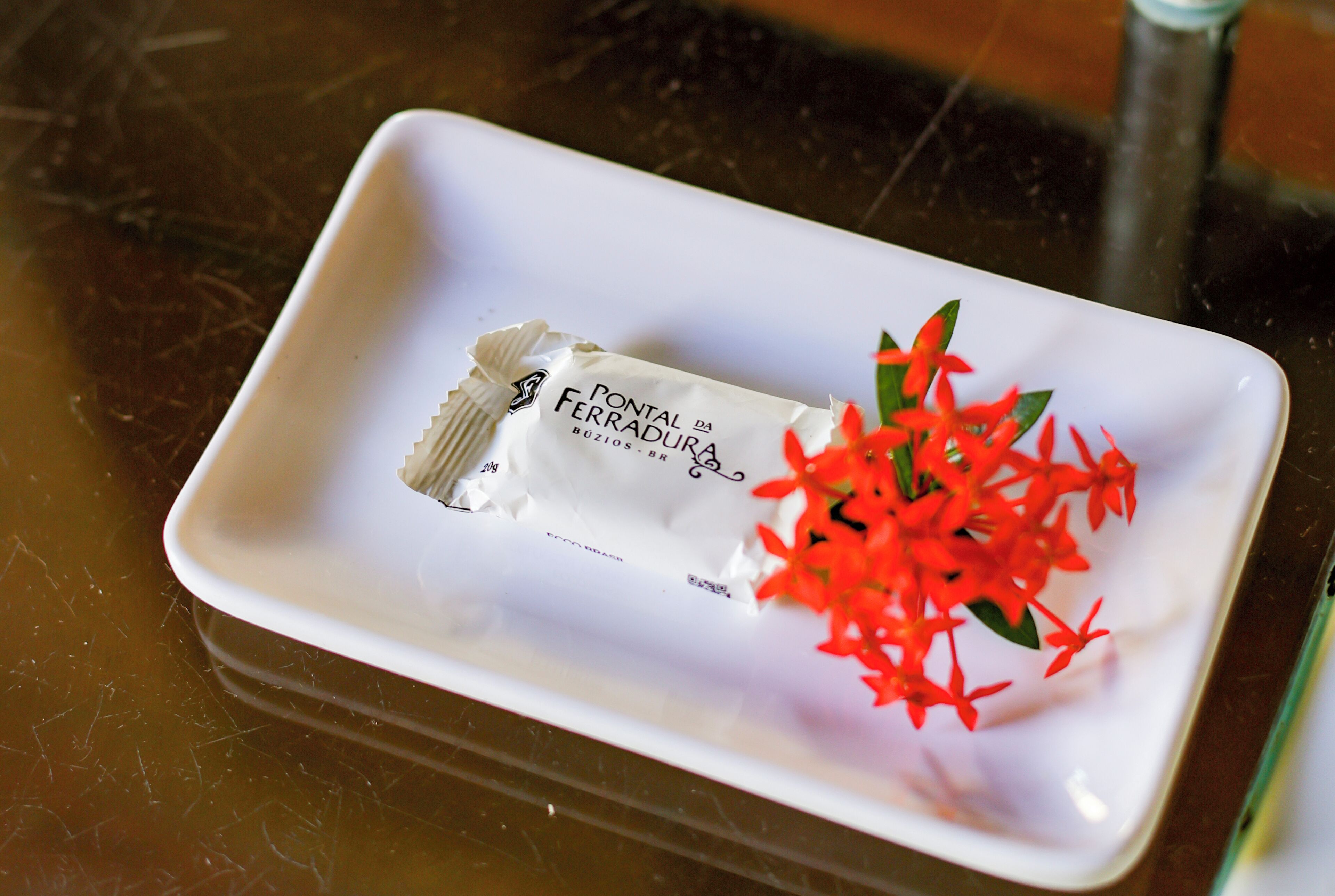 A white rectangular plate with a white object labeled 'Ponta da Ferradura' and a small bouquet of red flowers.
