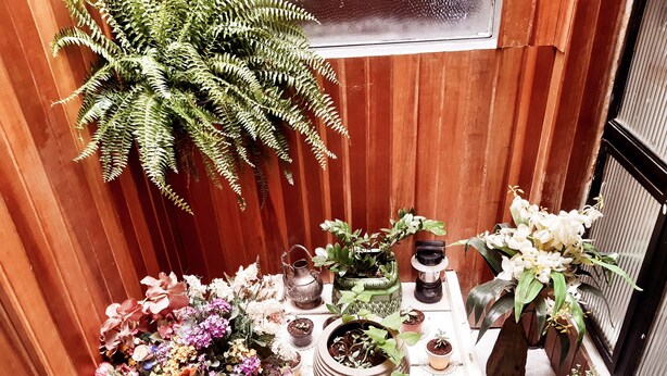 En lille overdækket have med forskellige krukker og blomster.