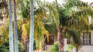 A pool area with palm trees, lounge chairs, and a building in the background. - Four Seasons Residence Club Aviara, North San Diego (Carlsbad)