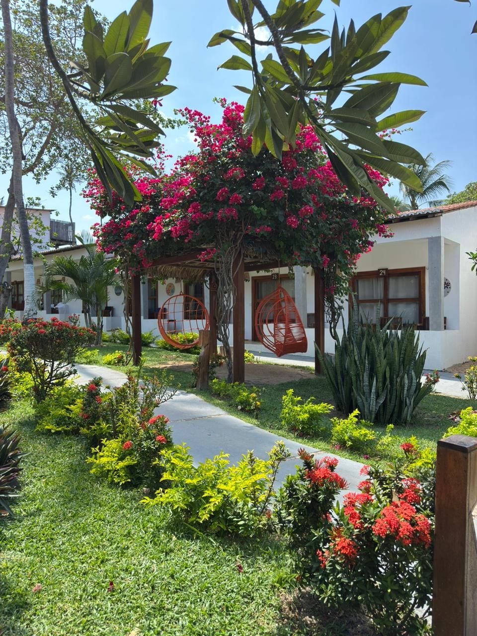 Un jardín con una silla colgante, un sendero y un edificio con un número en la puerta.