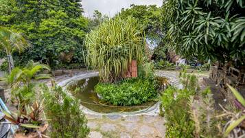 Chalé (Bem te vi) | Vista do quarto