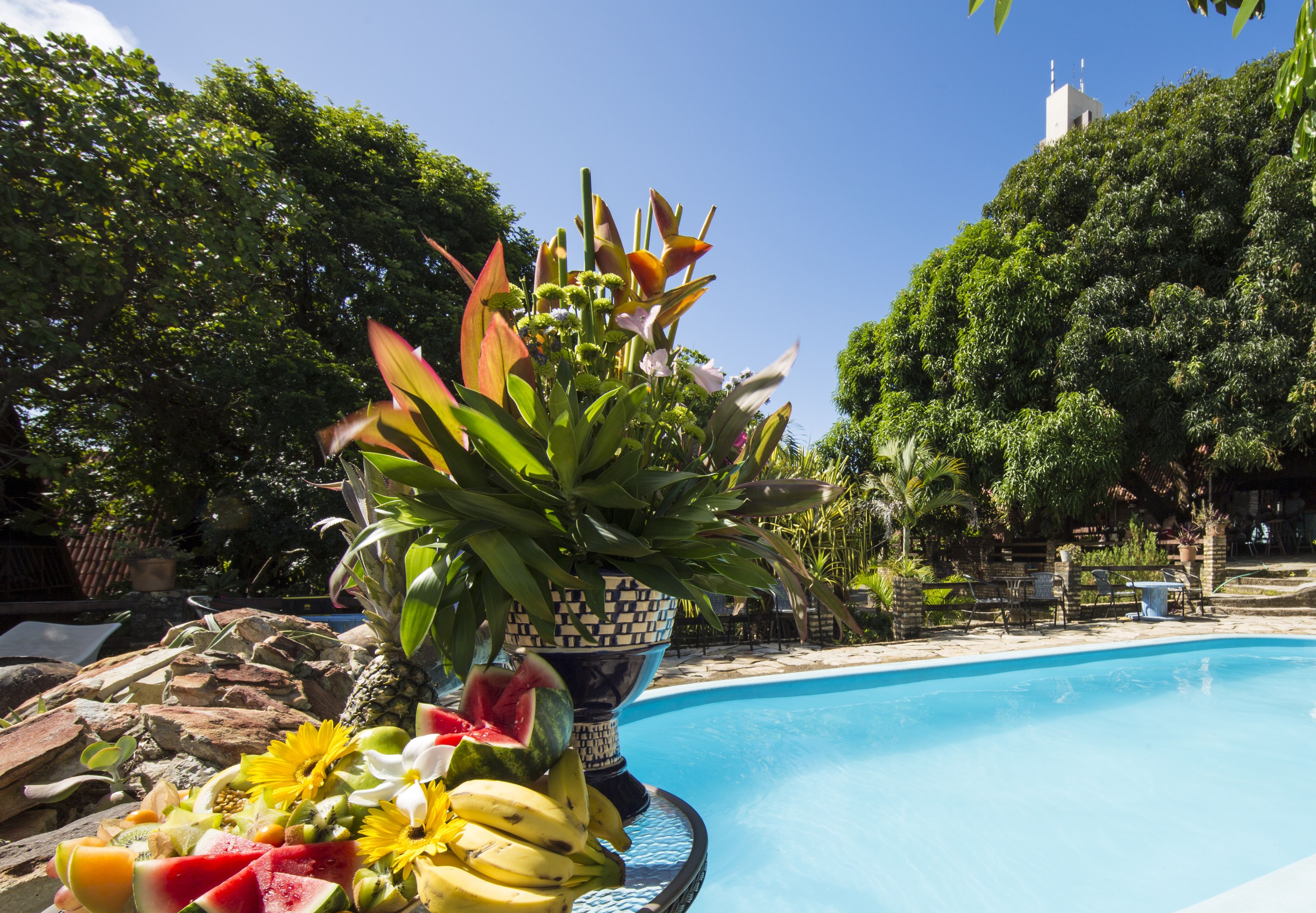 outdoor pool, pool umbrellas, pool loungers