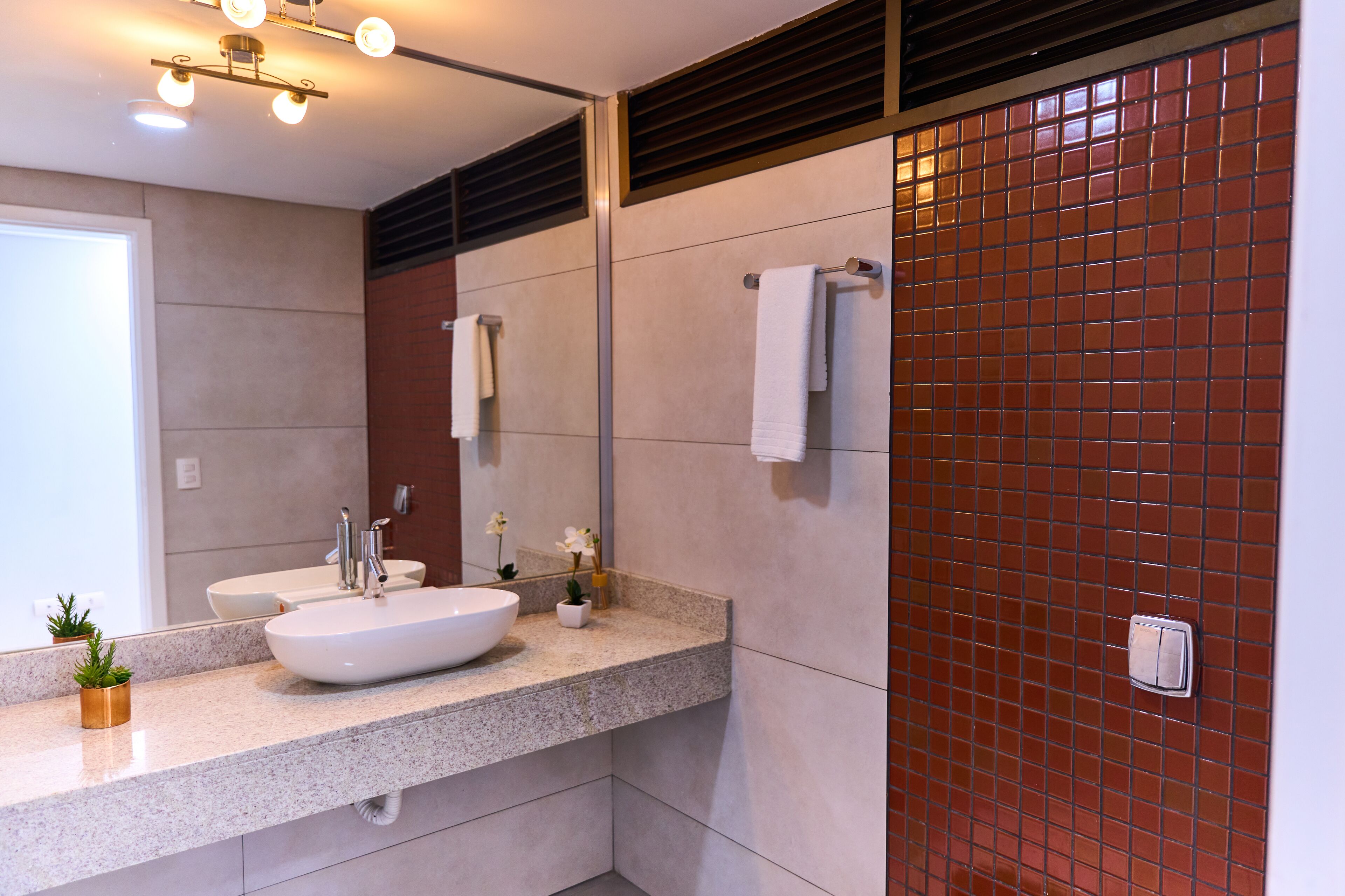 master duplex | bathroom | shower, hair dryer, towels, soap