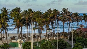 A beach with palm trees and a view of the ocean. - Golden Beach Hotel (Fortaleza)