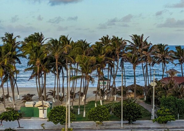 Una playa con palmeras y vistas al océano.
