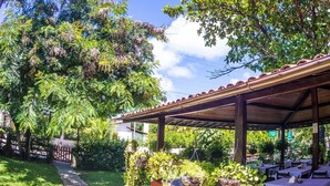 Un restaurante al aire libre con un porche cubierto, mesas y sillas, rodeado de abundante vegetación y una palmera.
