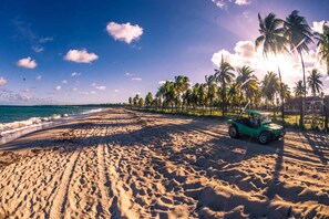 A beach with a green car parked on the sand, palm trees, and the ocean. - Real Pousada (Ipojuca)