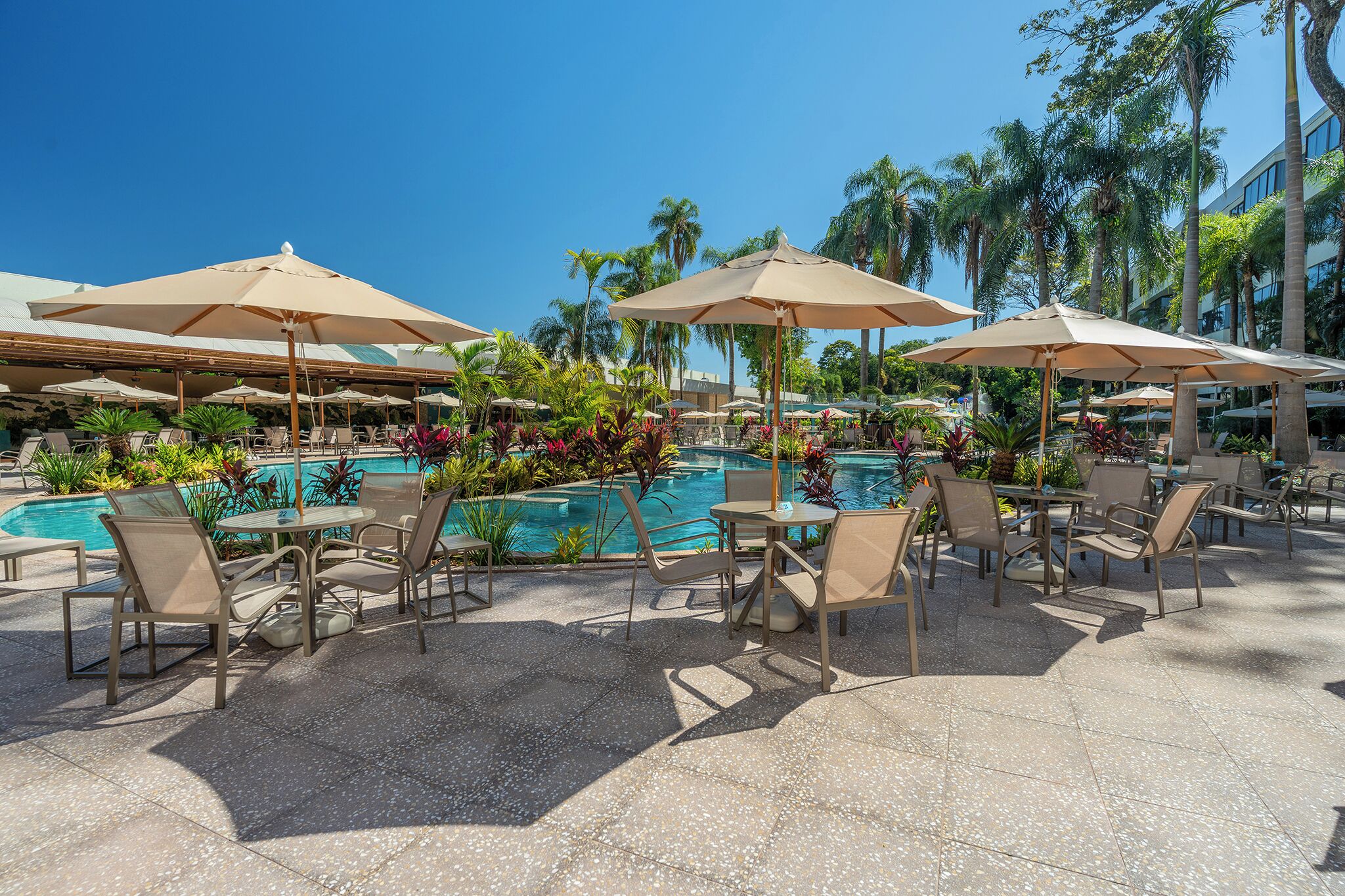 A poolside area with lounge chairs and umbrellas, surrounded by palm trees and a clear blue sky.