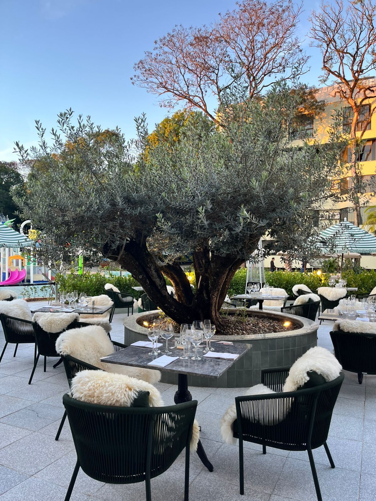 朝食、ランチ、ディナーに営業 (多国籍料理)