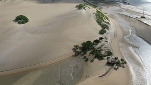 Un paisaje costero con dunas de arena, una playa y vegetación escasa.