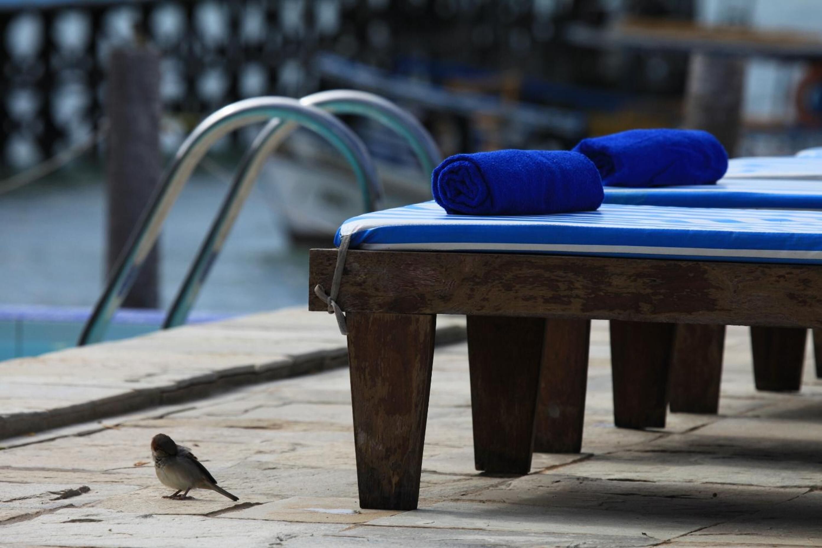 A wooden bench with a blue towel and a rolled-up towel on it, near a poolside area.
