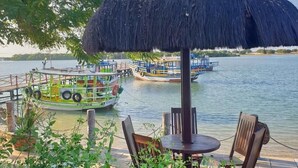 Un paraguas de paja, una mesa de comedor y sillas junto a un cuerpo de agua con barcos.