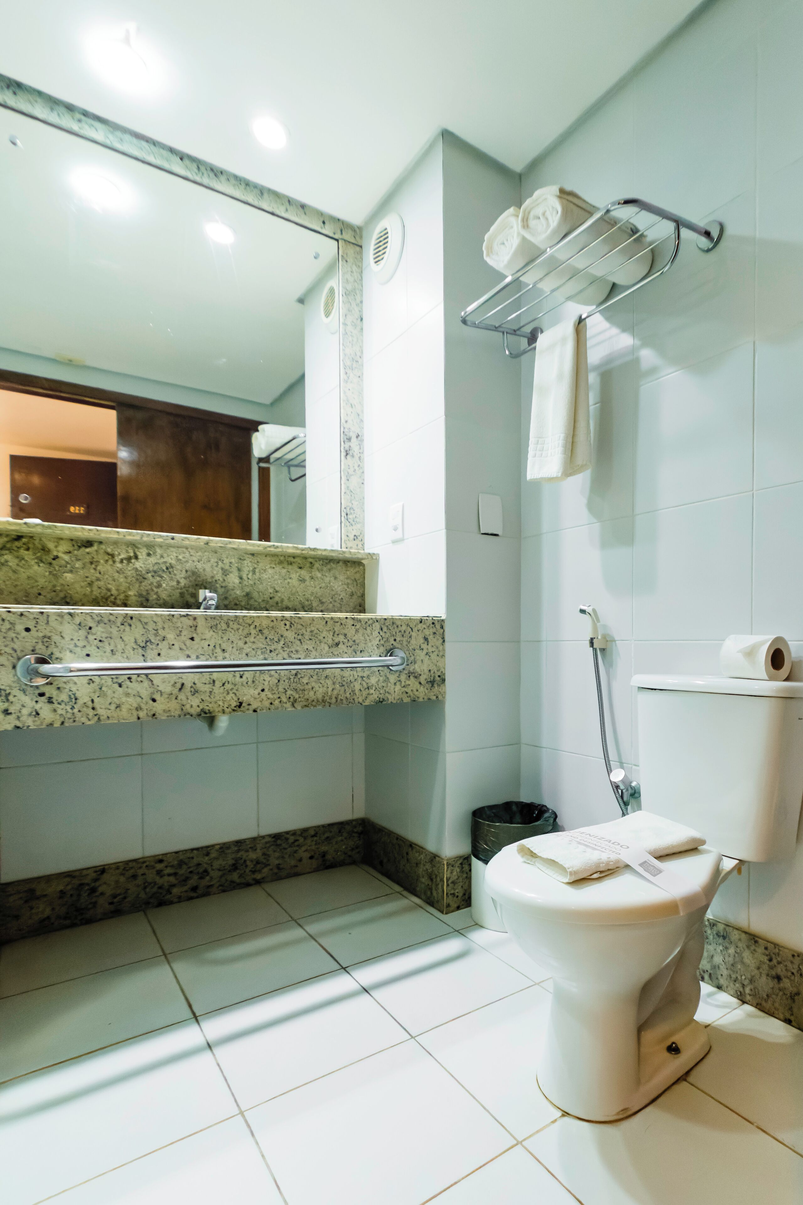 A bathroom with a toilet, a towel rack, a mirror, and a shower area.