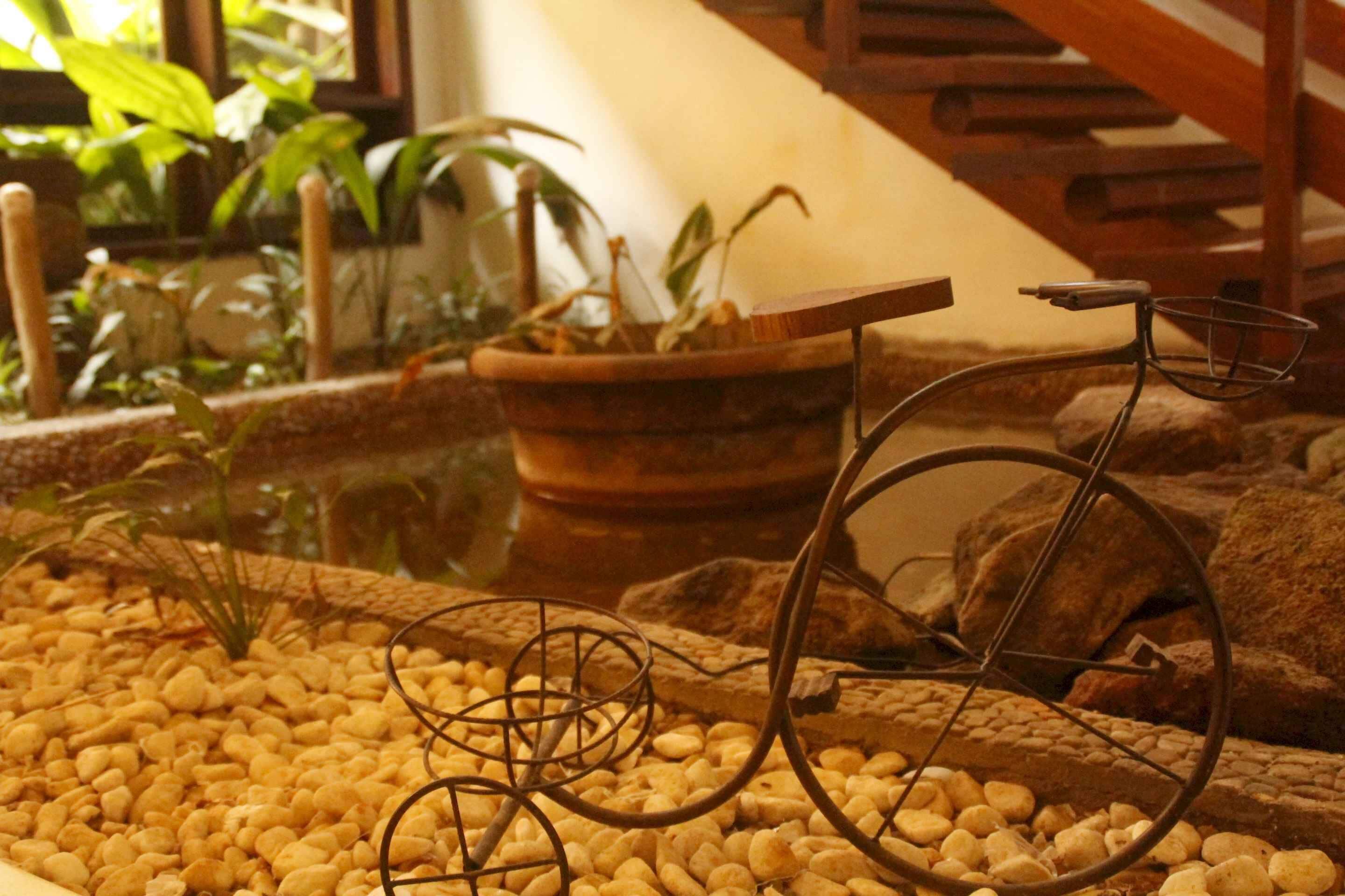 A bicycle in a room with a pebbled floor, surrounded by plants and a wooden structure.