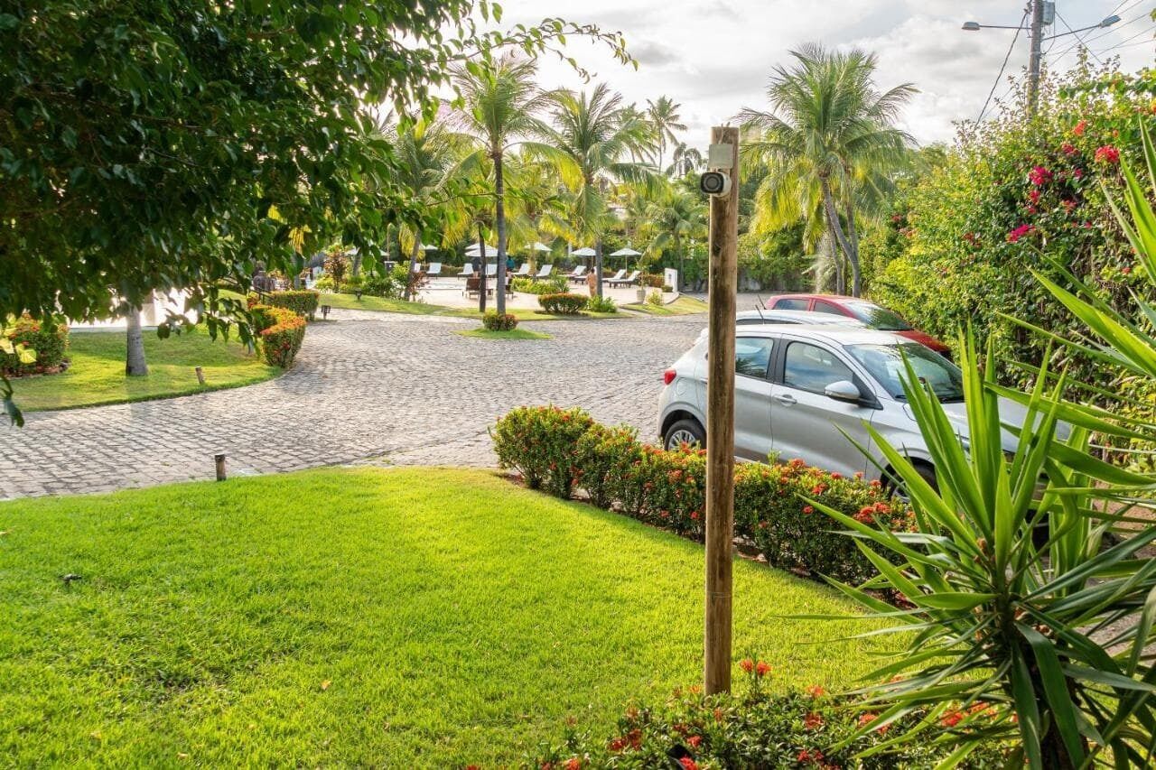 A paved driveway leading to a building with a parked car, surrounded by lush greenery and palm trees.