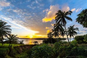 A sunset view with palm trees and a body of water. - Pousada Berro Do Jeguy (Tibau do Sul)