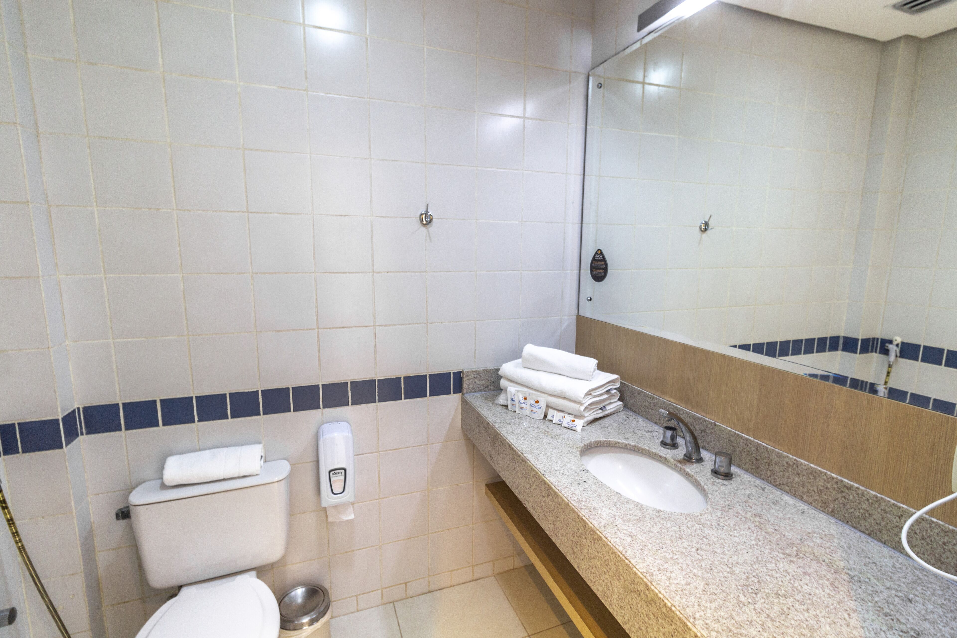 A bathroom with a toilet, sink, and mirror.
