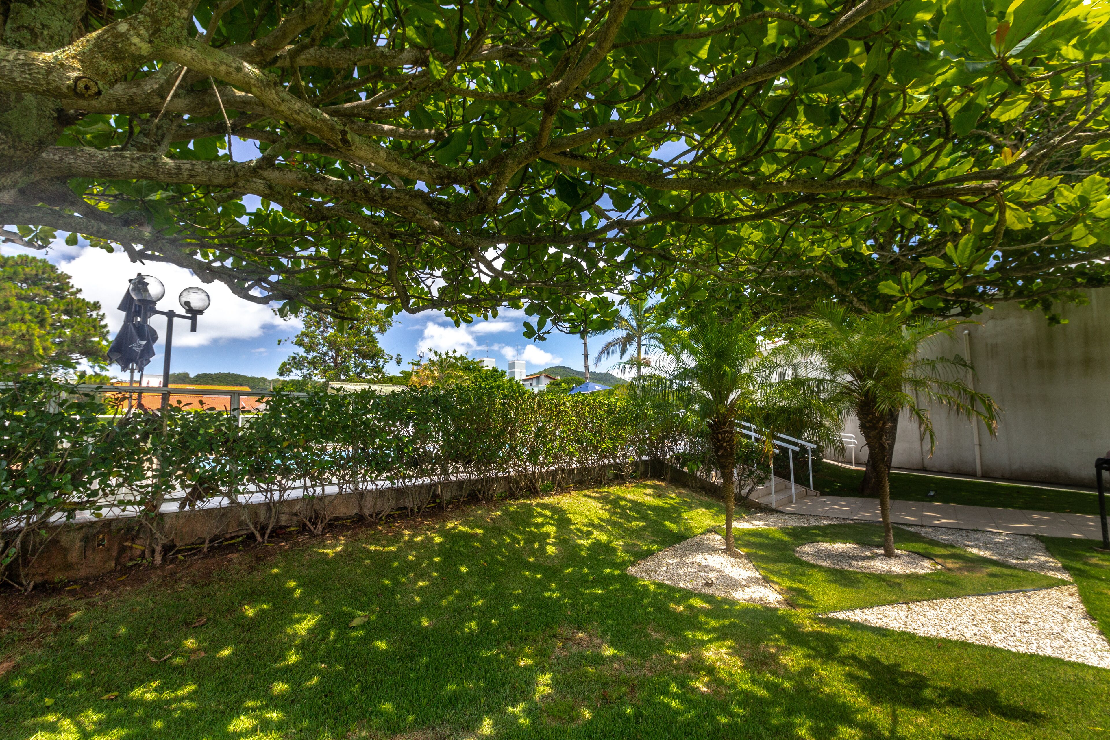 Un jardín bien cuidado con una palmera, una estatua y un sendero empedrado.