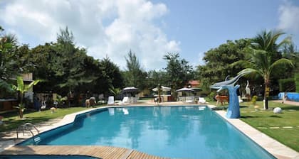 Caju Montebello Pipa