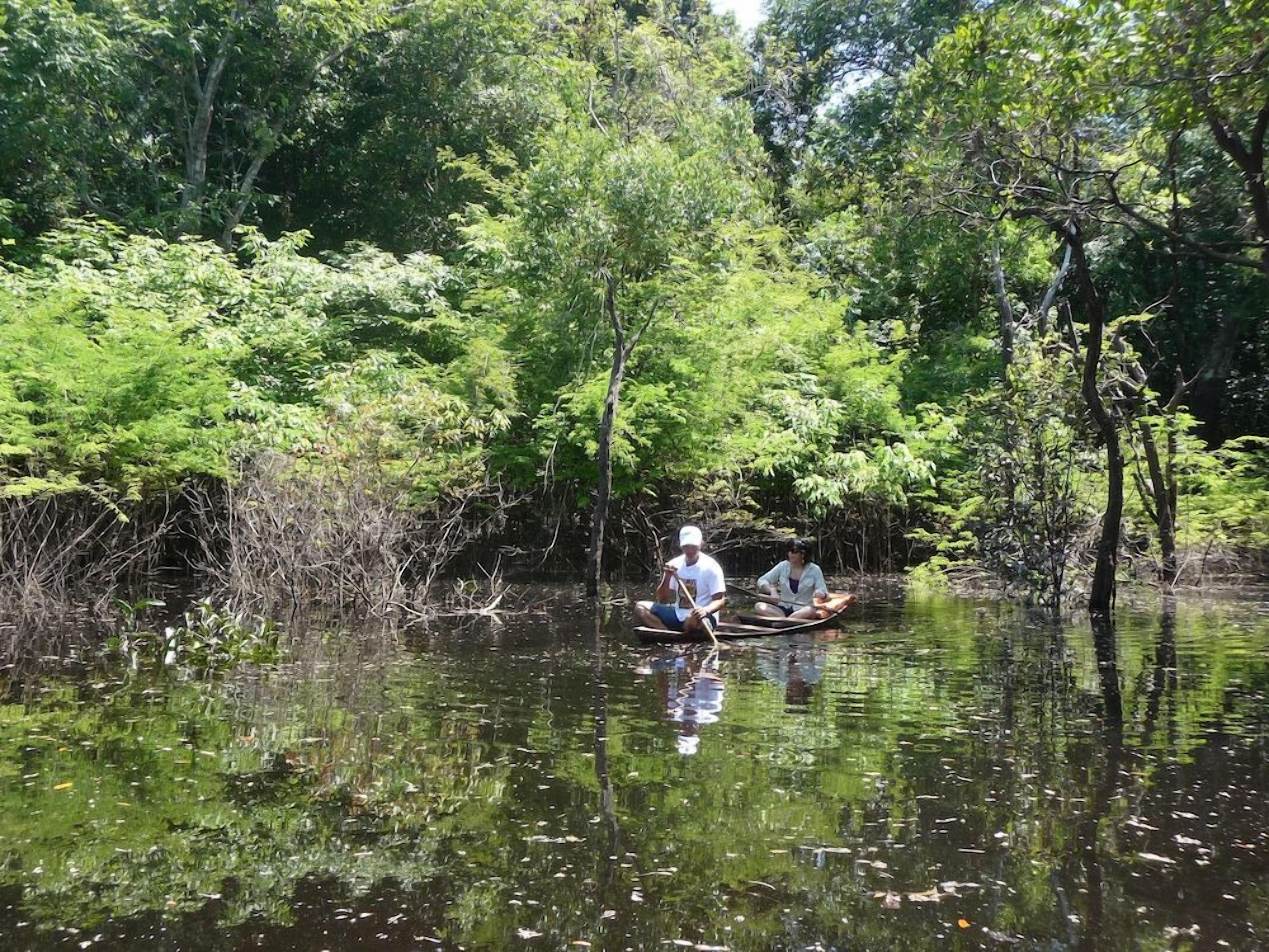 Um rio com duas pessoas em um barco, rodeadas por vegetação densa.