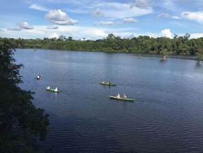 Un lago tranquilo con varios botes canoa verdes sobre el agua.