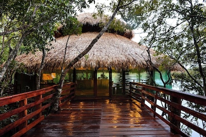 Juma Lodge - Hotel Selva